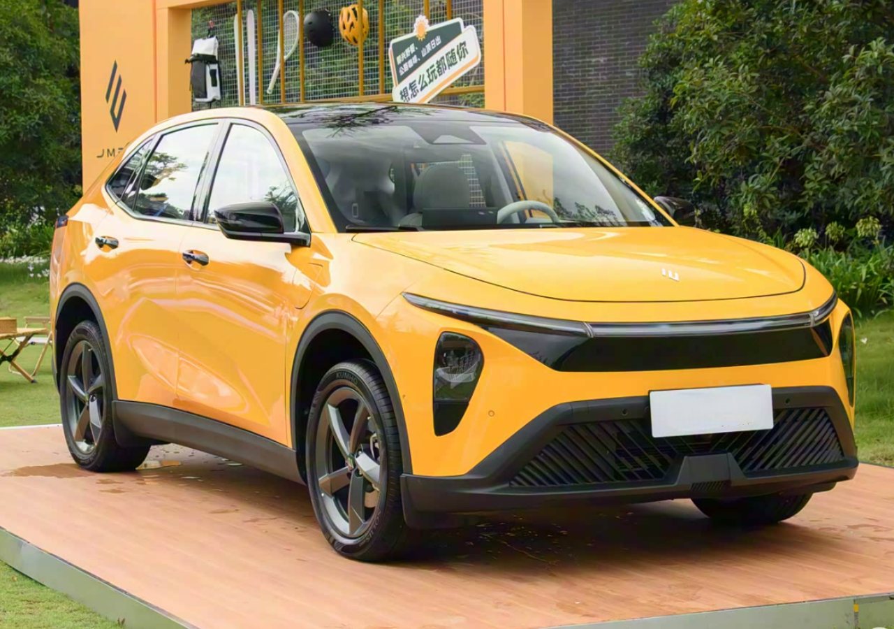 TOGE  Kizer Drop Bear Folding Knife Wood Handle Nitro-V Drop Point Plain